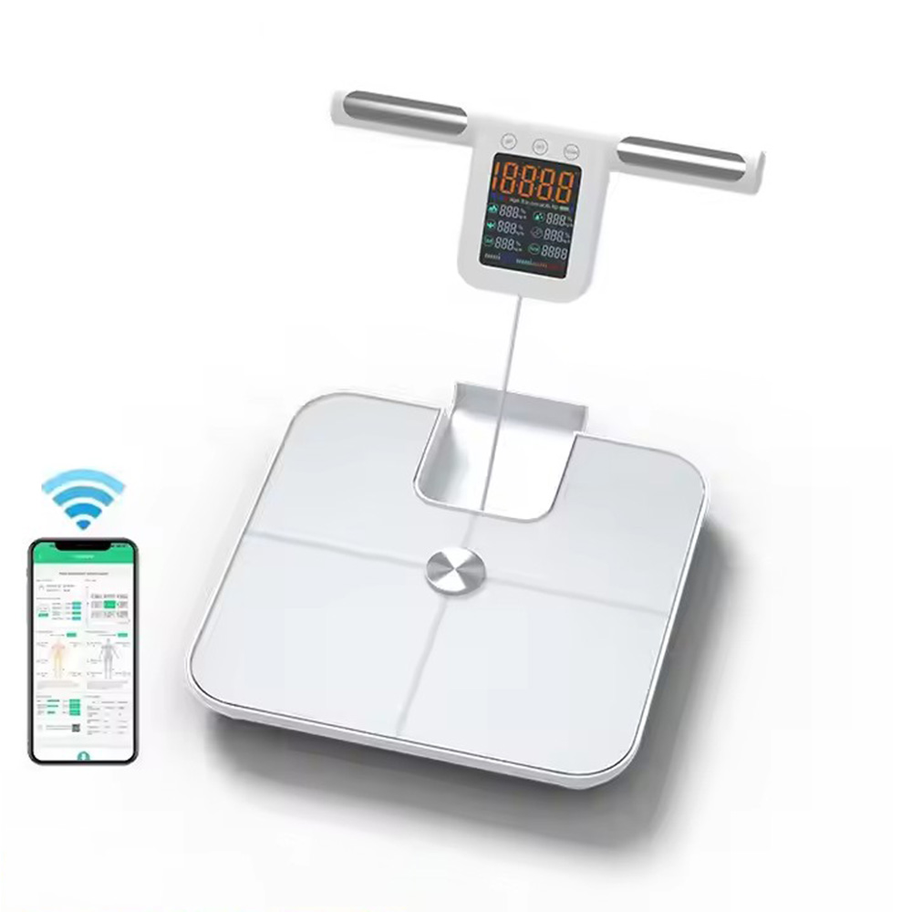 เครื่องชั่งไขมันในร่างกายอัจฉร - Body Fat Scale Smart บทวิจารณ์และราคา