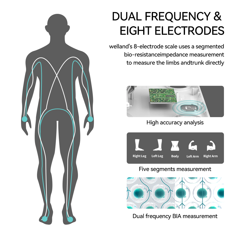 ปราดเปรื่อง8 สเกลอิเล็กโทรด ให - Body Fat Scale Smart บทวิจารณ์และราคา