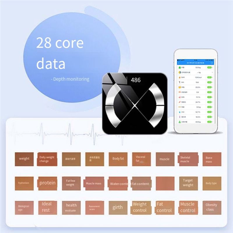 M12K-เครื่องชั่งอิเล็กทรอนิกส์ - Body Fat Scale Smart บทวิจารณ์และราคา